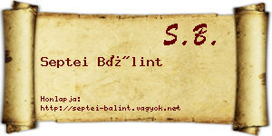 Septei Bálint névjegykártya